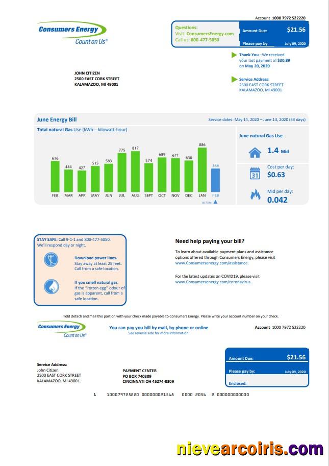 USA Michigan Consumers Energy utility bill